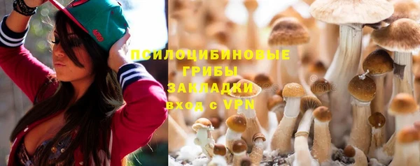 тгк Верея