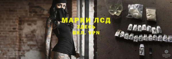 стаф Верхний Тагил