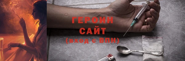 индика Богородицк