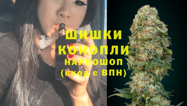 тгк Богданович